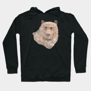 A Bear Portrait Hoodie